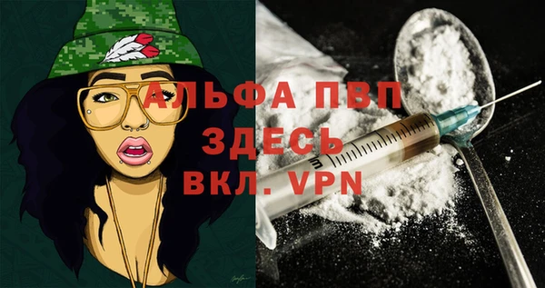 крисы Осташков