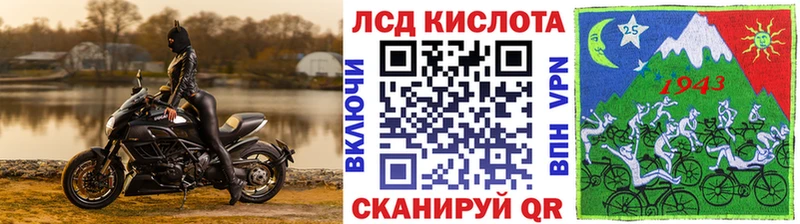 продажа наркотиков  Новосиль  Наркотические марки 1500мкг 