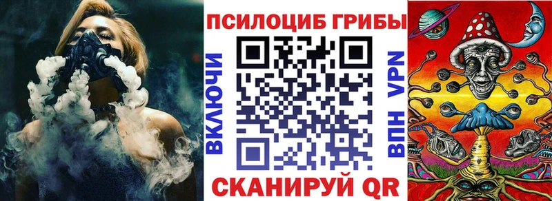 darknet Telegram  Новосиль  Псилоцибиновые грибы GOLDEN TEACHER 