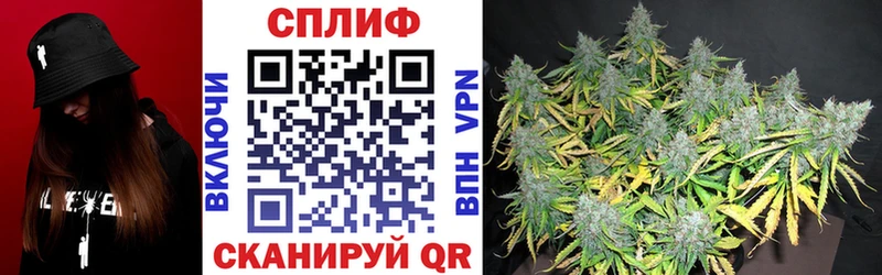 Канабис Bruce Banner дарк нет какой сайт Новосиль как найти mega зеркало